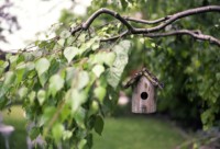 Exterior Home Maintenance Tips for Spring
